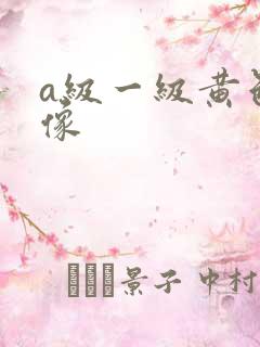 a级一级黄色录像