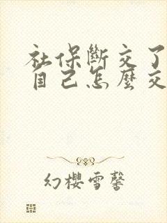 社保断交了以后自己怎么交