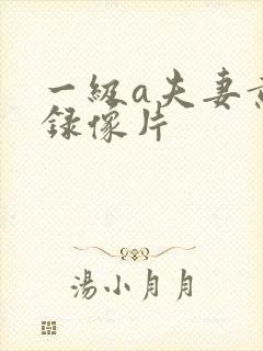 一级a夫妻黄色录像片