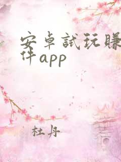 安卓试玩赚钱软件app