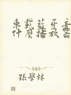 车载蓝牙音乐用什么播放器好