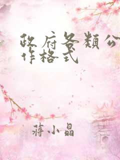 政府各类公文写作格式