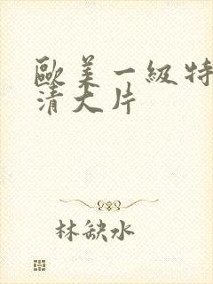 欧美一级特黄高清大片