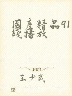 国产精品91在线播放