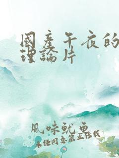 国产午夜的免费理论片