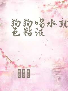 狗狗喝水就吐白色粘液