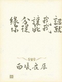 缘分让我认识了你从此我就爱上你是什么歌名