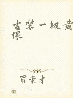 古装一级黄色录像
