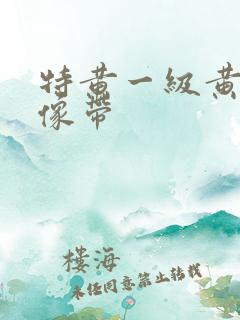 特黄一级黄色录像带
