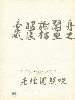 童昭谢闻舟往事藏匿枯鱼之肆阅读全文