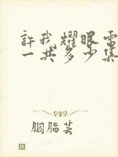 许我耀眼电视剧一共多少集啊