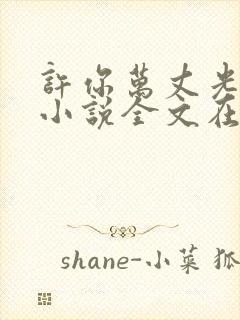 许你万丈光芒好小说全文在线阅读