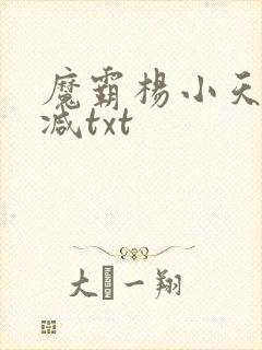 魔霸杨小天无删减txt
