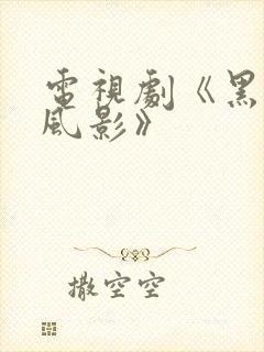 电视剧《黑狐之风影》