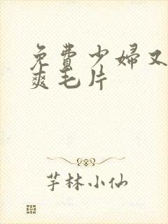 免费少妇又大又爽毛片