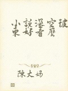 小说深空彼岸辰东好看么