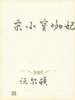 宋小宝咖妃台词