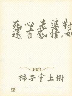 死心老婆对孩子还有感情,如何挽回她