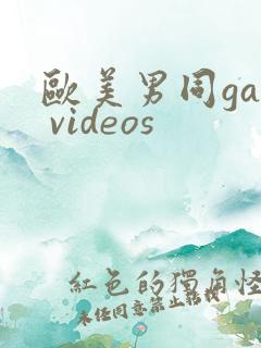 欧美男同gay videos