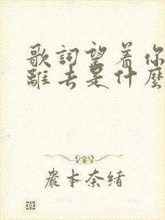 歌词望着你孤单离去是什么歌