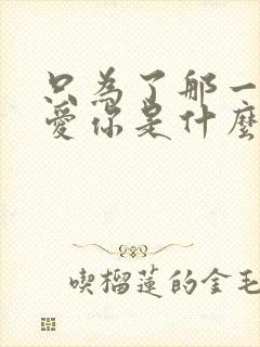 只为了那一声我爱你是什么歌