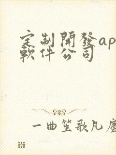 定制开发app软件公司