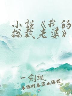 小说《我的冰山总裁老婆》