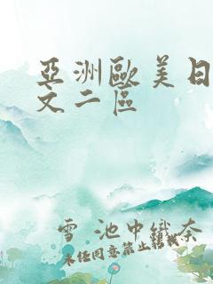 亚洲欧美日韩中文二区