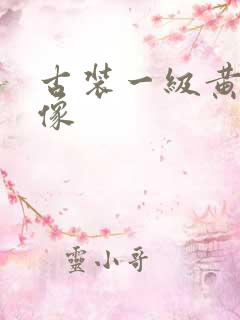 古装一级黄色录像