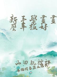 新手学画画用什么平板好