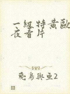 一级特黄欧美午夜看片