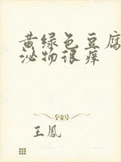 黄绿色豆腐渣分泌物很痒