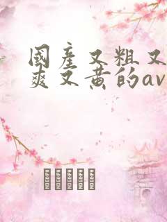 国产又粗又猛又爽又黄的av