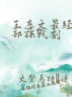 王志文最经典十部谍战剧