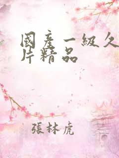 国产一级久久久片精品