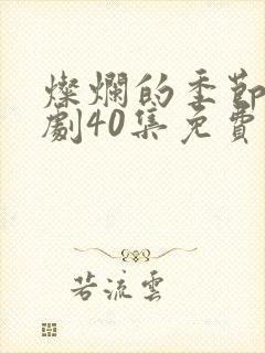 灿烂的季节电视剧40集免费观看全集