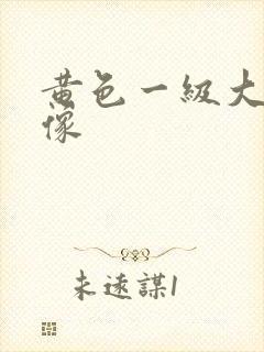 黄色一级大片录像