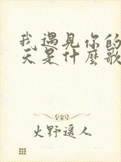 我遇见你的那一天是什么歌里的歌词