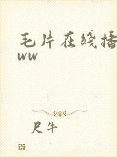 毛片在线播放www