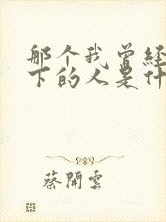 那个我曾经放不下的人是什么歌