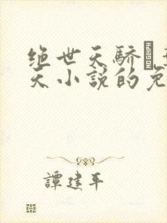 绝世天骄·叶凌天小说的免费阅读