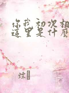 你我初次相识在这里是什么歌