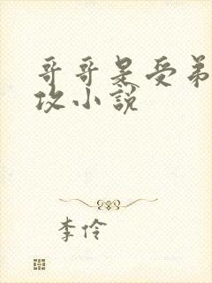 哥哥是受弟弟是攻小说