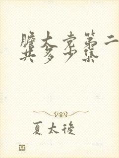 胆大党第二季一共多少集