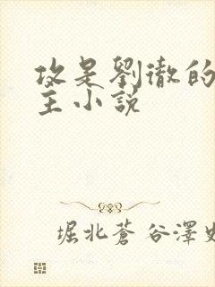 攻是刘彻的双男主小说