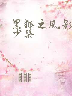 黑狐之风影共多少集