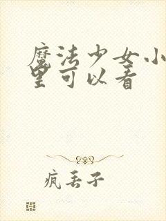 魔法少女小圆哪里可以看