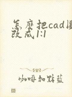 怎么把cad图改成1:1