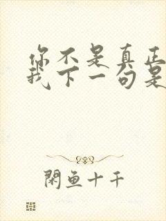 你不是真正的爱我下一句是什么