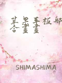 苹果平板哪款适合画画